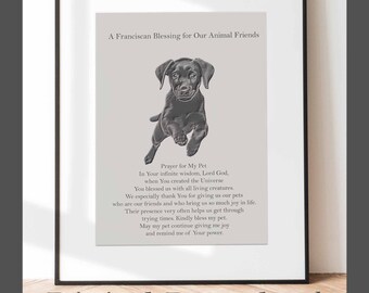 Franciscan Blessing for Pets | Digital Download | Catholic Prayer Print | Saint Francis of Assisi | Printable Prayer| Catholic Wall Art