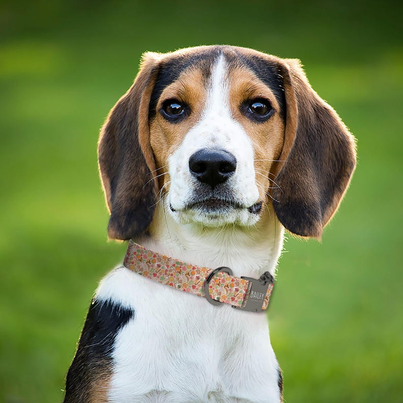 Collar navideño para perros, collar navideño para mascotas con correa, pajarita navideña para perros, collar navideño ajustable para cachorros (P160) imagen 4