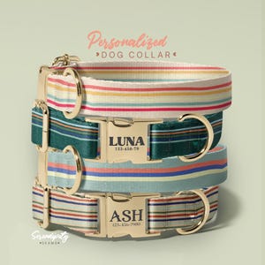 Multiple Colour Corduroy Personalise Dog Collar Leash Set,Engraved Pet Name Plate Metal Buckle, Birth Puppy Present, (P39)
