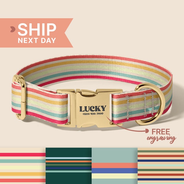 Multiple Colour Corduroy Personalise Dog Collar Leash Set,Engraved Pet Name Plate Metal Buckle, Birth Puppy Present, (P39)