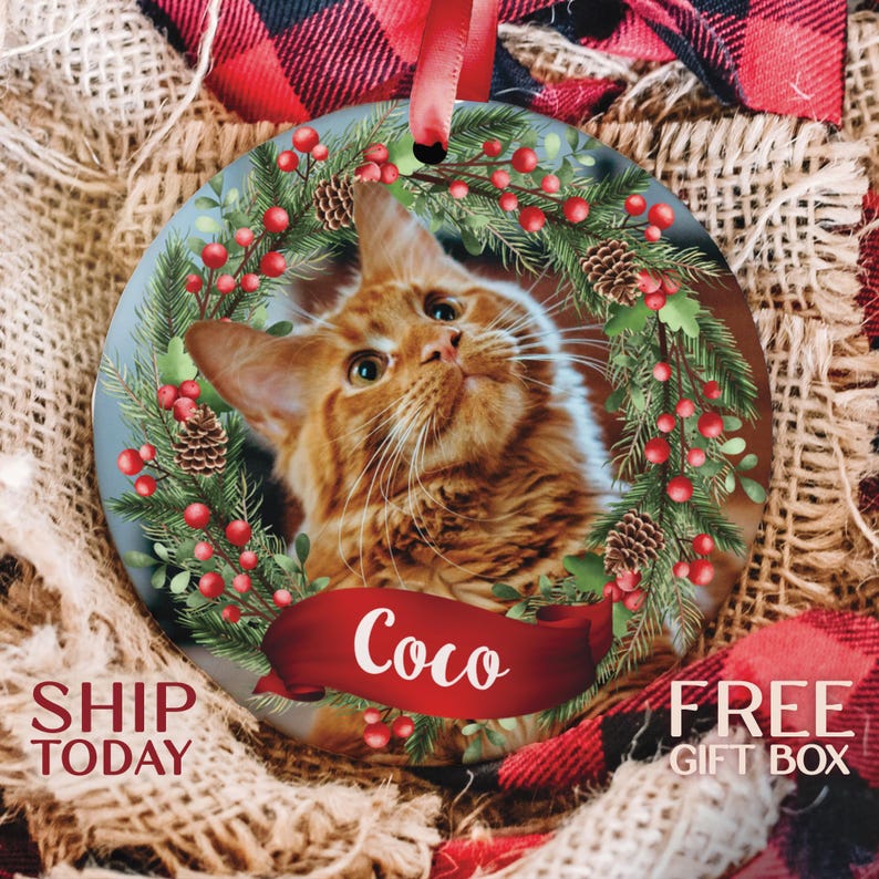 Personalized Cat Photo Ornament, Ideal for Christmas Tree Decor, Perfect Gift for Cat Owners, Memorable Gift for Cat Lovers (OP-6 Cat) image 1