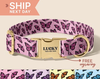 Butterfly Dog Collar, Wedding Dog Collar With Leash, Small Dog Collar With Engraved Name, Personalized Dog Collar, (P50)