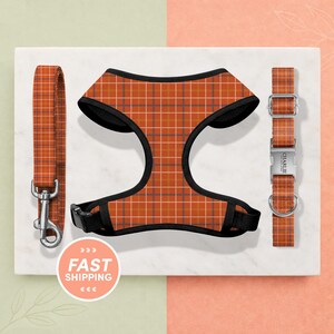 May include: A dog harness, leash, and collar set. The set features a plaid pattern in shades of orange, brown, and white. The harness and collar have black trim. The collar buckle is silver and has the name "CHARLIE" engraved on it.