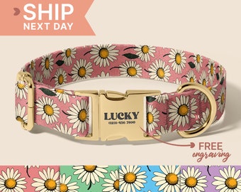 Cute Daisy Dog Collar, Female Dog Collar with Name, Customized Pet Accessories, Collar for Small to Large Dogs, (P3)