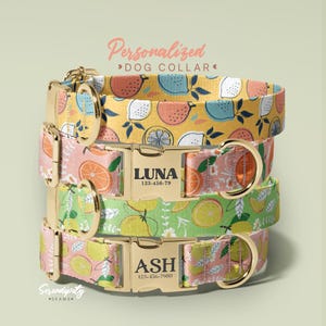 Fruit Pattern Dog Collar, Personalized Dog Collar With Dog Name, Watermelon Collar For Dogs, Vacation Gift For Dog Lover, (P120 )