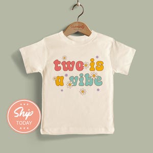 Retro Two is a Vibe Toddler Shirt, 2nd Birthday Shirt for Kids, Groovy Toddler Birthday T-Shirt, Boys and Girls Birthday Outfit(KA-BIR55)
