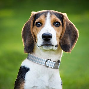 Checkered Square Dog Collar, Personalized Gift for Dog Lovers, Engraved Dog Collar, Adjustable Fabric Dog Collar, (P106) image 4