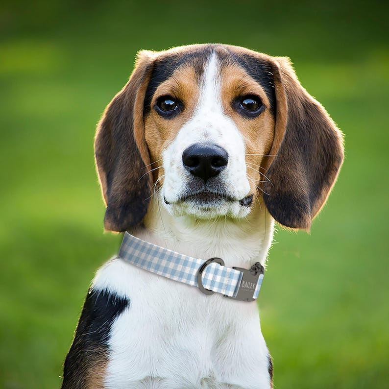 Checkered Square Dog Collar, Personalized Gift for Dog Lovers, Engraved Dog Collar, Adjustable Fabric Dog Collar, (P106) image 4