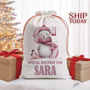 May include: A white Christmas gift bag with a pink snowman and penguin illustration. The bag has the text "Special Delivery for SARA" printed on it.