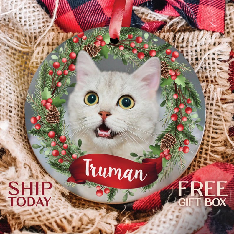 Personalized Cat Photo Ornament, Ideal for Christmas Tree Decor, Perfect Gift for Cat Owners, Memorable Gift for Cat Lovers image 1