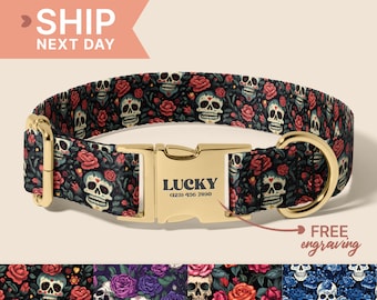 Dead Inside Dog Collar, Personalized Dog Collar With Leash, Human Skull Dog Collar With Custom Name, Adjustable Dog Collar, (P54)