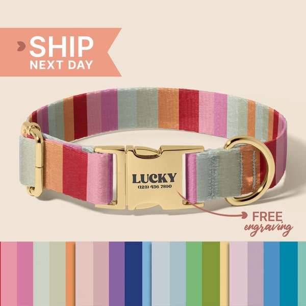 Personalized Striped Dog Collar, Soft & Adjustable, Collars for Small Medium Large Dogs, Colorful Pet Collar, Dog Collar With Name, (P12)