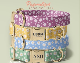 May include: Stack of four personalized dog collars in purple, yellow, blue, and green, each with a daisy pattern. The collars have gold-colored metal hardware and nameplates with names and phone numbers. The text "Personalized DOG COLLAR" is at the top.
