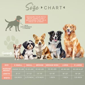 The image is a size chart for dogs, showing the measurements for different dog breeds. It includes a silhouette of a dog and a list of measurements for various dog sizes, such as X-small, small, medium, medium-large, and large.