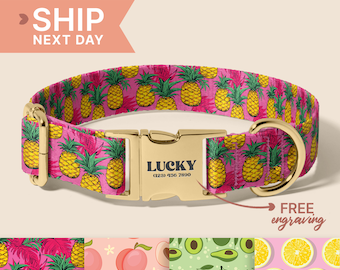 Fruity Dog Collar, Cute Personalized Dog Collar With Engraved Name, Fruit Lover Dog Accessories, Customizable Gift For Dog Owner, (P64)