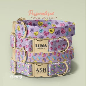 Puppy Luv Conversation Hearts Dog Collar, Paws & Kisses Personalized Collar With Leash, Customizable Dog Collar, (P53)