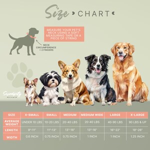 The image is a size chart for dogs, showing the measurements for different dog breeds. It includes a silhouette of a dog and a list of measurements for various dog sizes, such as X-small, small, medium, medium-large, and large.