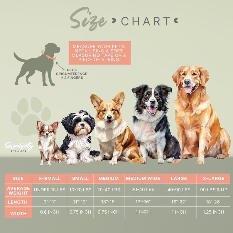The image is a size chart for dogs, showing the measurements for different dog breeds. It includes a silhouette of a dog and a list of measurements for various dog sizes, such as X-small, small, medium, medium-large, and large.