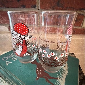 Vintage Holly Hobbie Cottagecore-drinkglazen met bloemen, set van 2