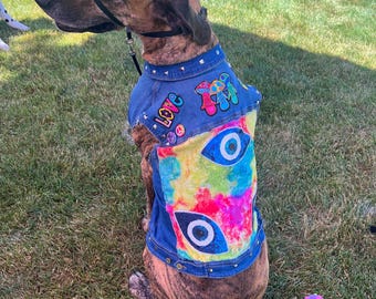 Equal love, BIG dog vest- 45” chest