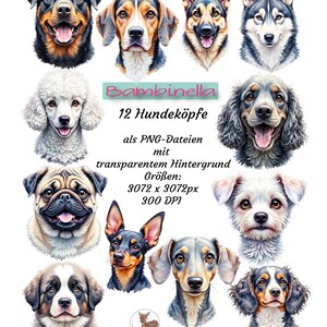 Può includere: Una stampa d'arte digitale con dodici ritratti di cani diversi, tra cui un Rottweiler, un Beagle, un Pastore Tedesco e un Husky. L'immagine include anche un Barboncino, un Carlino e un Bassotto. Il testo "Bambinella" e "12 Hundeköpfe" è presente.