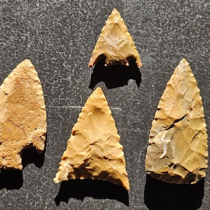 May include: Four ancient, tan-colored arrowhead artifacts with triangular shapes and notched bases are displayed against a dark, textured background. The arrowheads vary slightly in size and texture, showcasing the craftsmanship of a bygone era.