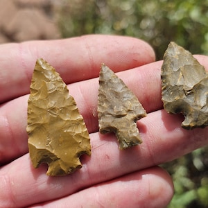 May include: Three ancient arrowheads in varying shades of brown and tan are displayed. Each arrowhead has a distinct, chipped texture and a notched base. The arrowheads are held in a hand, showcasing their size and detail.