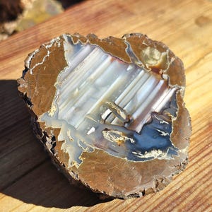 May include: A polished agate stone slice with a brown outer edge and a white, blue, and brown interior. The stone has a natural, organic shape and a polished surface, showcasing the unique patterns and colors.