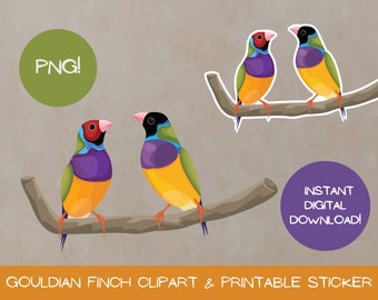 Clipart z gouldian finch: Naklejka z tęczową ziębą (pobranie cyfrowe)