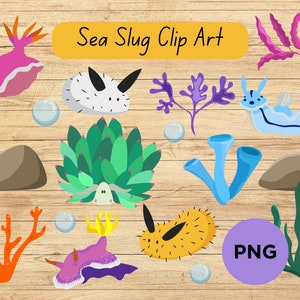 Niedliche Nacktschnecke Clipart, sofortiger Download, Seeschaf, printable, Blattschnecke, Blattschaf, exotisches Tier, exotische Kreaturen, Seeschnecke, Cricut