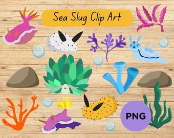 Cute Nudibranch Clipart, Sea Slug PNG, Cricut Printables (Digital Download)