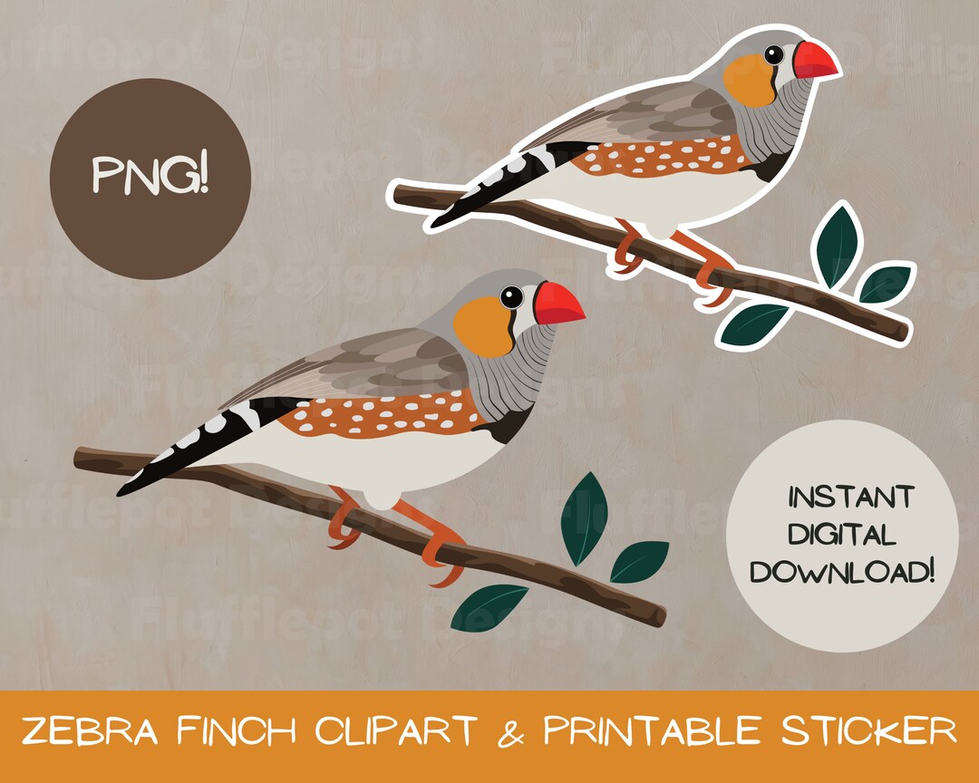 Zebra Finch Clipart, Printable Sticker, Instant Download, Australian