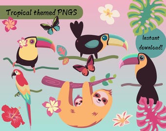 Tropical Clipart PNG Set: Toucan, Sloth, Macaw, Hibiscus (Digital Download)
