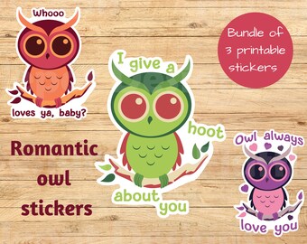 Cute Owl Printable Stickers, Romantic PNG Bundle (Digital Download)