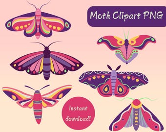 Colorful Moth Clipart: Hand-Drawn Insect PNGs (Digital Download)