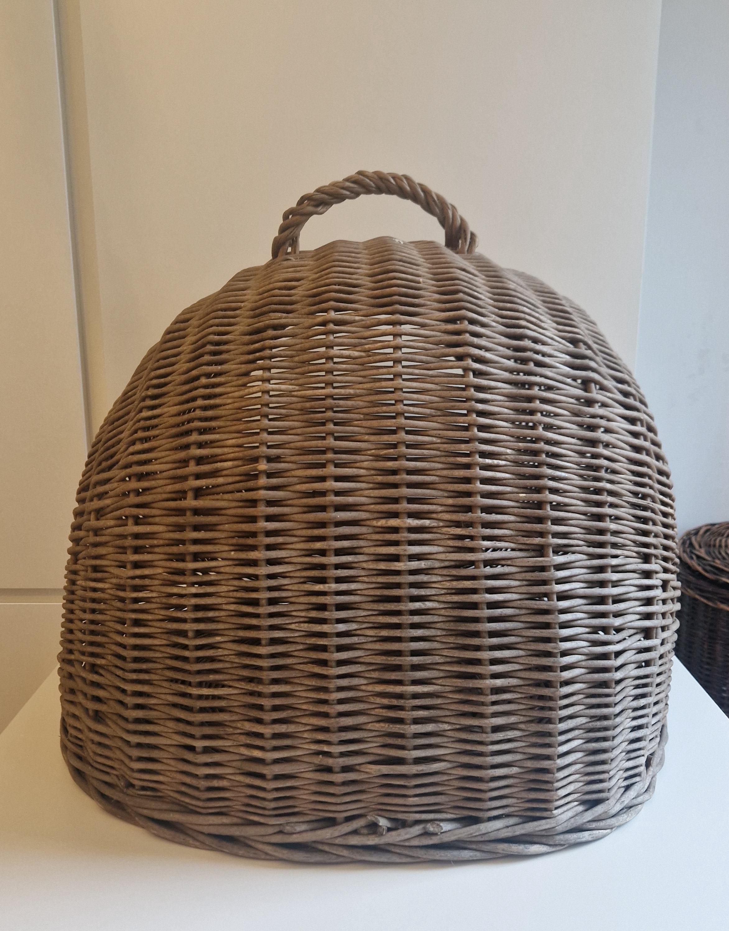 Ancien Panier En Osier Pour Chat - Années 70 - 28x14x14 Pouces - Occasion - Déco Vintage