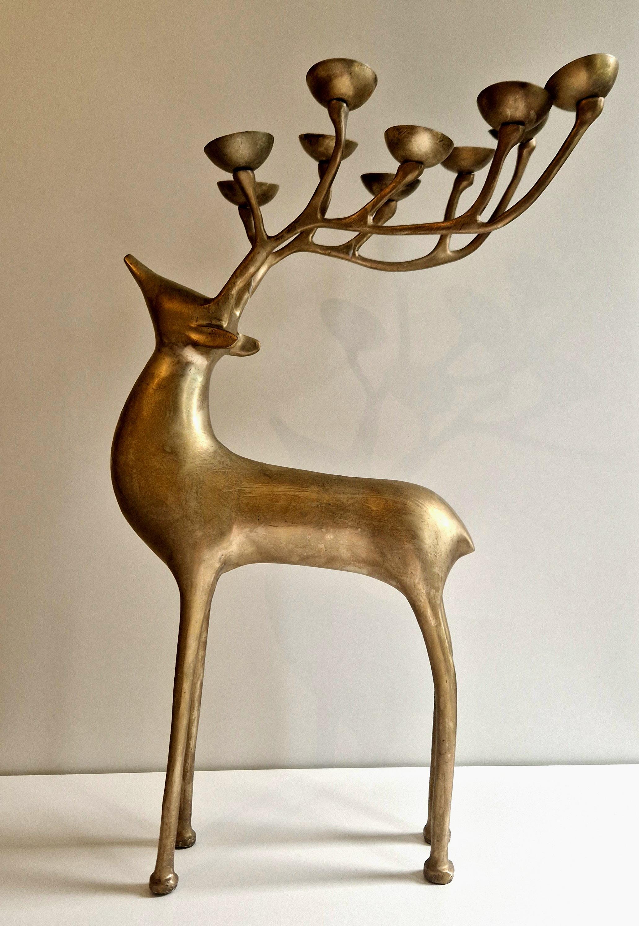 Quelle est la différence entre un renne et un cerf