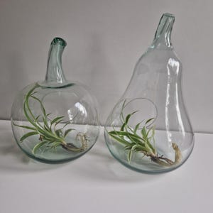 Hand-blown Vintage Apple and Pear, glassware, PlanteVase, Gift for Mother, 1980, Terrarium, Succulent Container