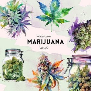 Aquarelle Cannabis Clipart - plantes vertes et feuilles Utilisation commerciale, Scrapbook, PNG