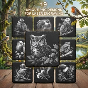 May include: A collection of 19 unique PNG designs for laser engraving, featuring detailed black and white illustrations of various birds. The designs are displayed on square, dark gray coasters, showcasing an owl, toucan, and other avian species.