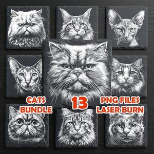 以下が含まれることがあります： 様々な猫の品種の、詳細な白黒イラストが描かれた9つの正方形のコースターのコレクション。「CATS BUNDLE」、「13」、「PNG FILES」、「LASER BURN」の文字も表示されています。コースターは暗い表面に配置されています。