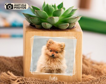 Custom Photo Engraved Succulent Pots Pet Memorial Gift. Custom Dog Portrait Succulent Planter Pet Gifts. Cat Portrait Succulent Gift for Pet