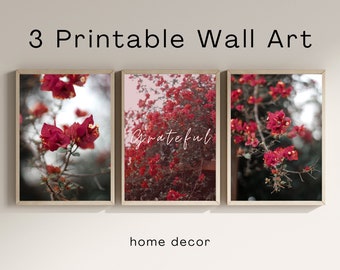 3 Printable Wall Art - Photography with red flowers and quote