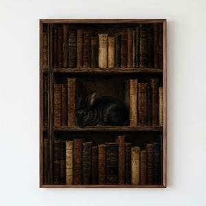 May include: A framed rectangular wall art print featuring a dark, moody bookshelf filled with rows of aged, leather-bound books in shades of brown and tan. A small, solid black rabbit is nestled between the books on the middle shelf.