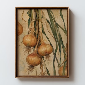 Op de afbeelding: Een ingelijste kunstprint met een botanische illustratie van verschillende goudbruine uien met lange, hangende groene stengels en zichtbare wortels, tegen een gestructureerde, lichtbeige achtergrond in een dunne, donkere houten lijst.