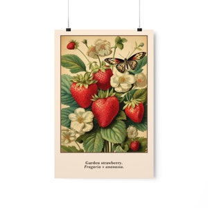 Vintage Strawberry Print, 12" × 18" Vintage Poster Gift, Strawberry Flower Butterfly Art