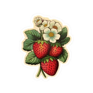 Vintage Strawberry Sticker - Retro Fruit Kiss-Cut Stickers, Adhesive Decal for Scrapbook & Laptop, Cute Vinyl Red Decals, Water Bottle