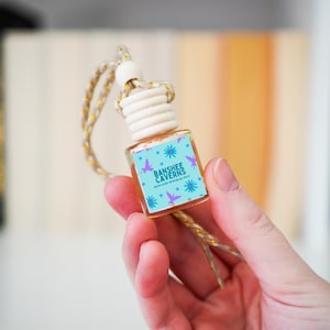 Banshee Caverns Car Diffusers | Magic Mouse | WDW Ride Scents | Flight of Passage | Water Clover, Mountain Air, Alien Fruits