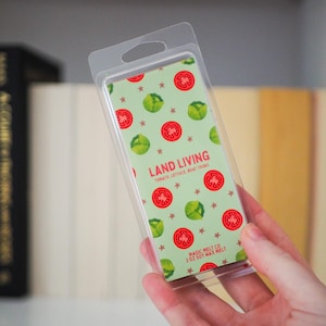 Land Living Soy Wax Melt | Magic Mouse Inspired | WDW Rides