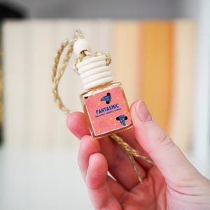 Difusor para coche Fantasmic / Ratón mágico / Inspirado en WDW / Fantasmic Show / Pitahaya, piña, plumeria